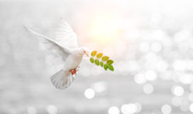 shutterstock_452287282