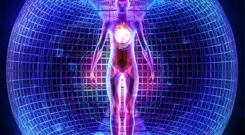 24 stm_lms_assignment