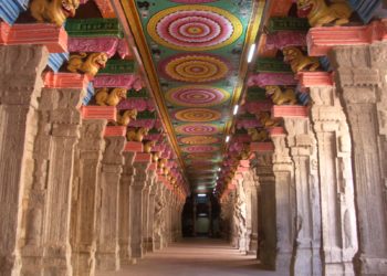 Обучение в Индии